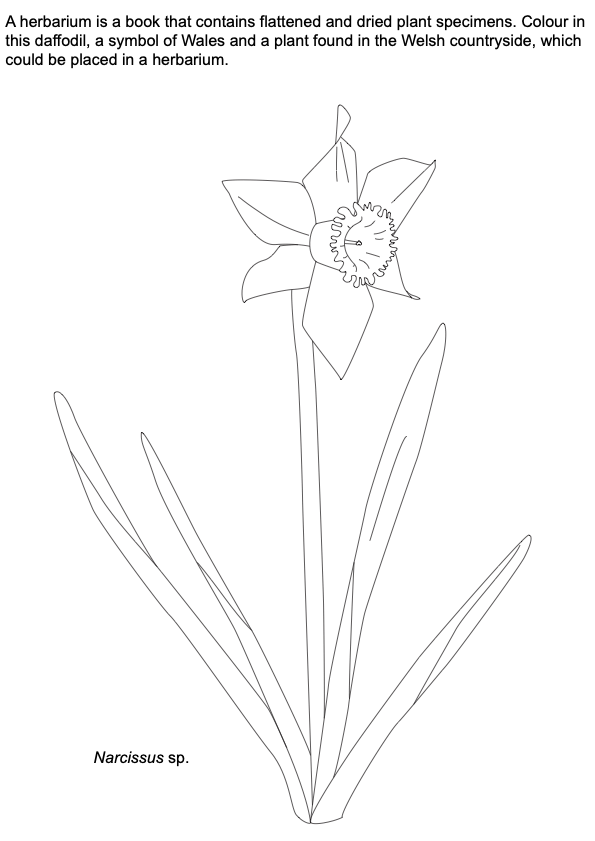 Placeholder Picture