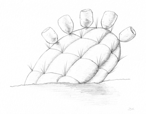 Placeholder Picture