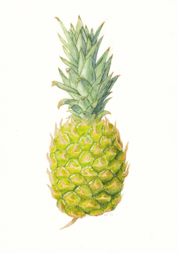 Placeholder Picture